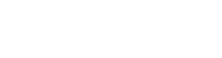 Bruce Logo