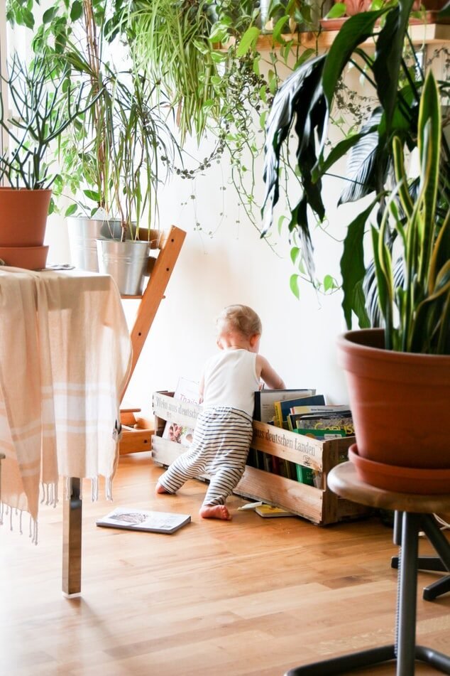 Small child playing with toys on a hardwood floor surrounded by potted plants and natural light